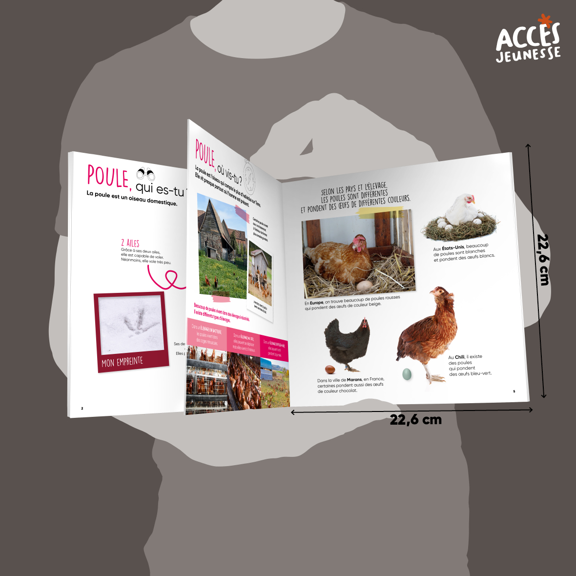 Documentaire la poule miniature acces jeunesse